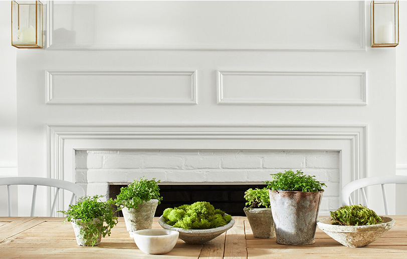 Dining room with white-painted walls featuring a large wooden table with potted plants and chairs. Dining room with white-painted walls featuring a large wooden table with potted plants and chairs.
